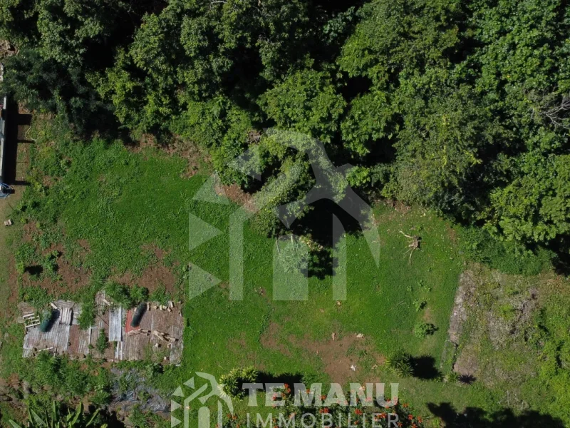 A vendre – terrain de 750m2 sur Arue - temanuimmobilier.com