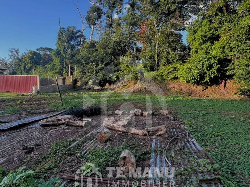 A vendre – terrain de 750m2 sur Arue - temanuimmobilier.com