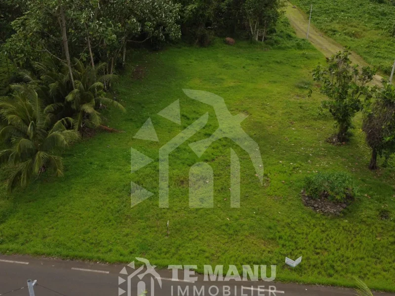 A Vendre – Terrain sur Hitiaa - temanuimmobilier.com