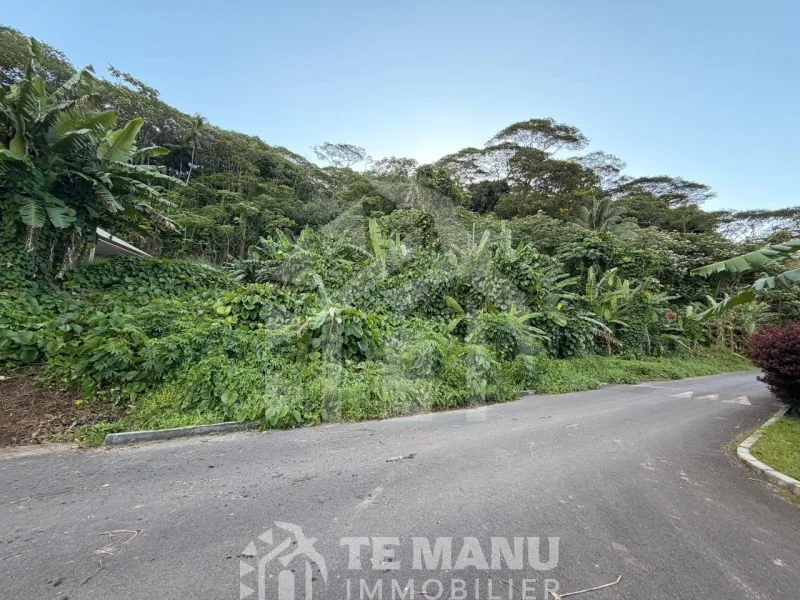A vendre – 2 parcelles sur Raiatea d’un total de 10036m2 - temanuimmobilier.com