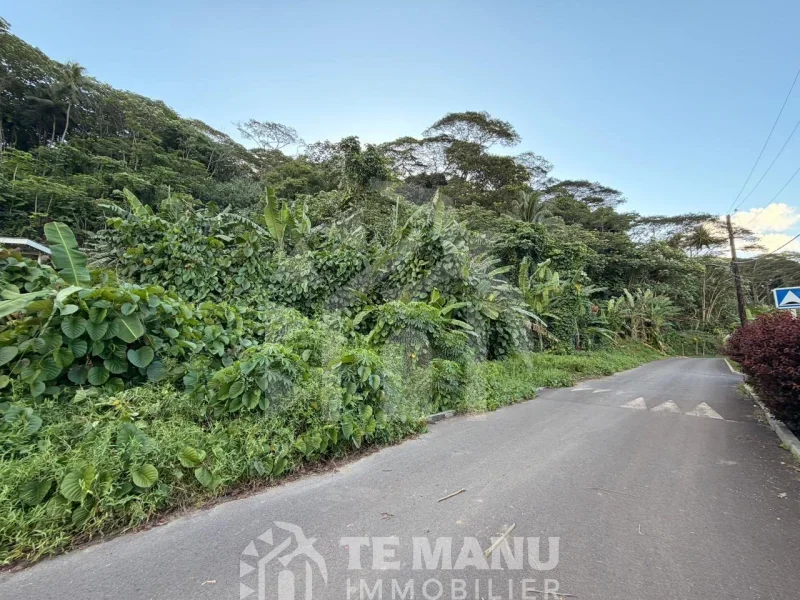 A vendre – 2 parcelles sur Raiatea d’un total de 10036m2 - temanuimmobilier.com