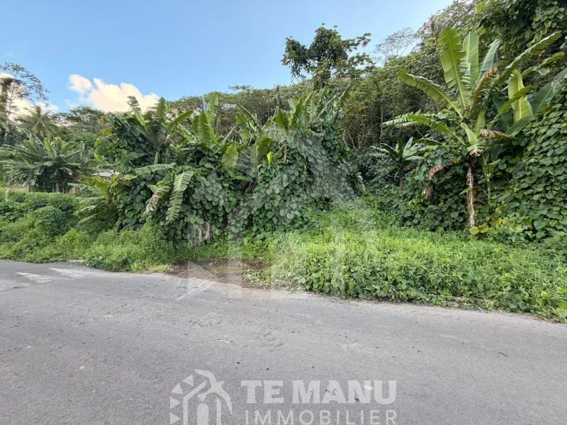 A vendre – 2 parcelles sur Raiatea d’un total de 10036m2 - temanuimmobilier.com