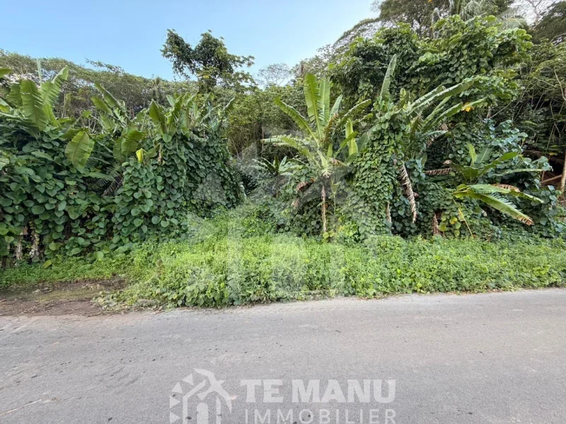 A vendre – 2 parcelles sur Raiatea d’un total de 10036m2 - temanuimmobilier.com