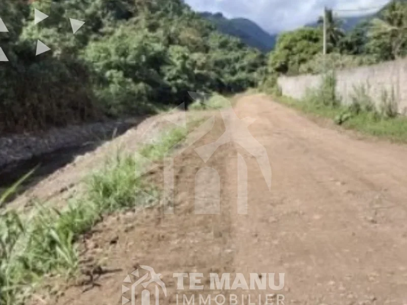 A vendre – Terrain de 533m2 sur Pueu - temanuimmobilier.com