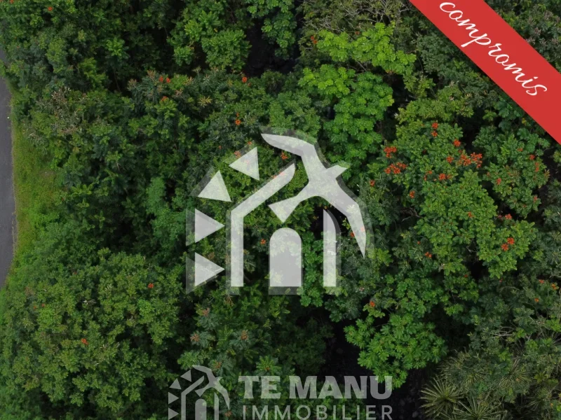 A vendre – Terrain de 1400m2 sur Papara - temanuimmobilier.com
