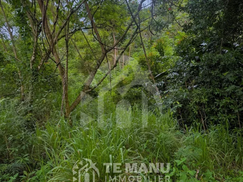 A vendre – Terrain de 1400m2 sur Papara - temanuimmobilier.com