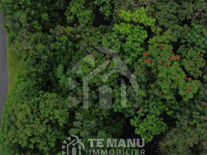 A vendre – Terrain de 1400m2 sur Papara - temanuimmobilier.com