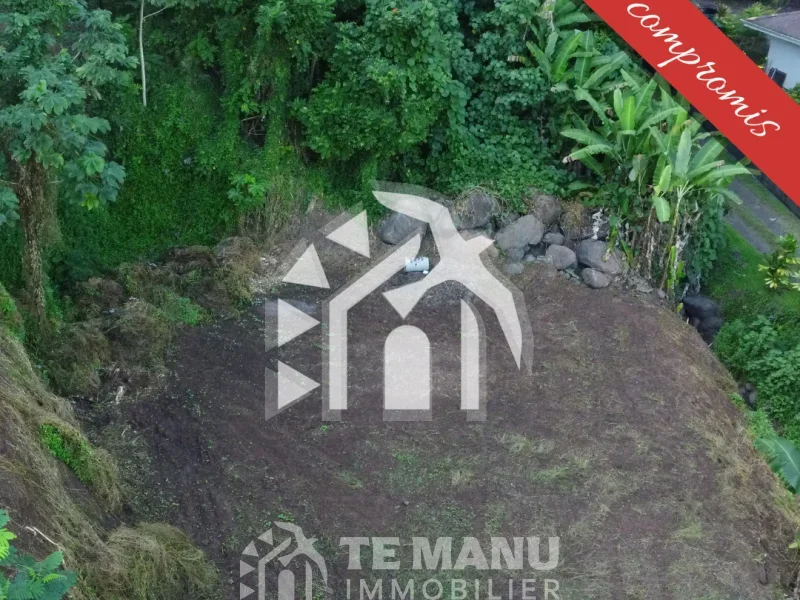 A vendre – terrain de 1000m2 sur Arue - temanuimmobilier.com