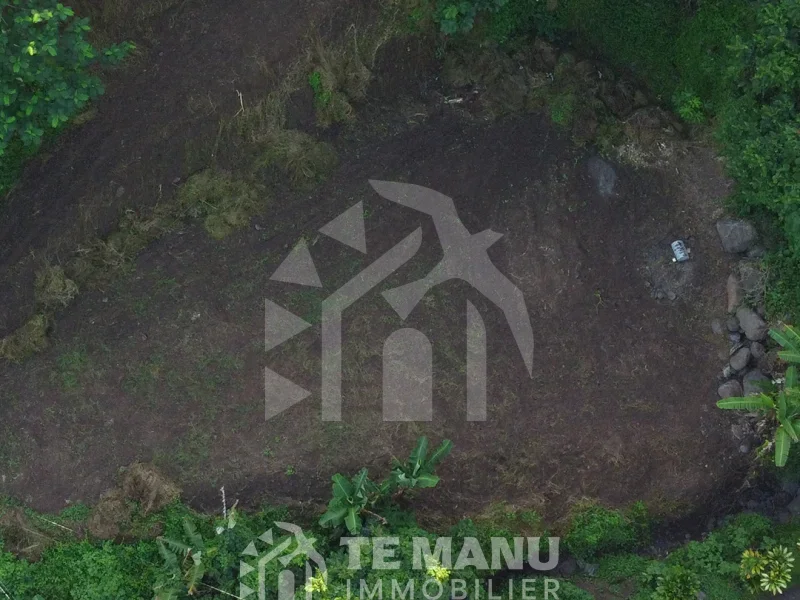 A vendre – terrain de 1000m2 sur Arue - temanuimmobilier.com
