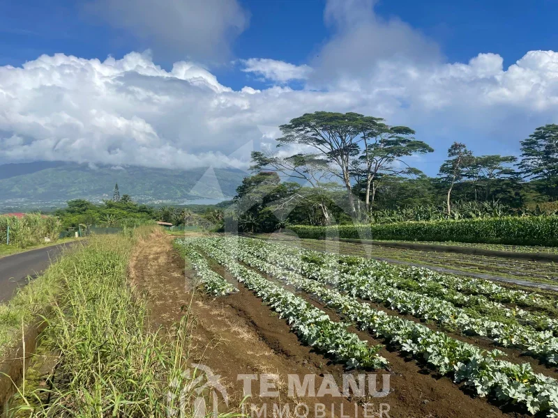 À vendre – Terrain sur Afaahiti 10 800m2 - temanuimmobilier.com