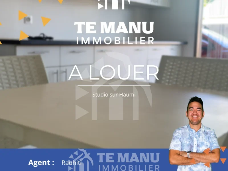 A louer – studio sur Haumi - temanuimmobilier.com