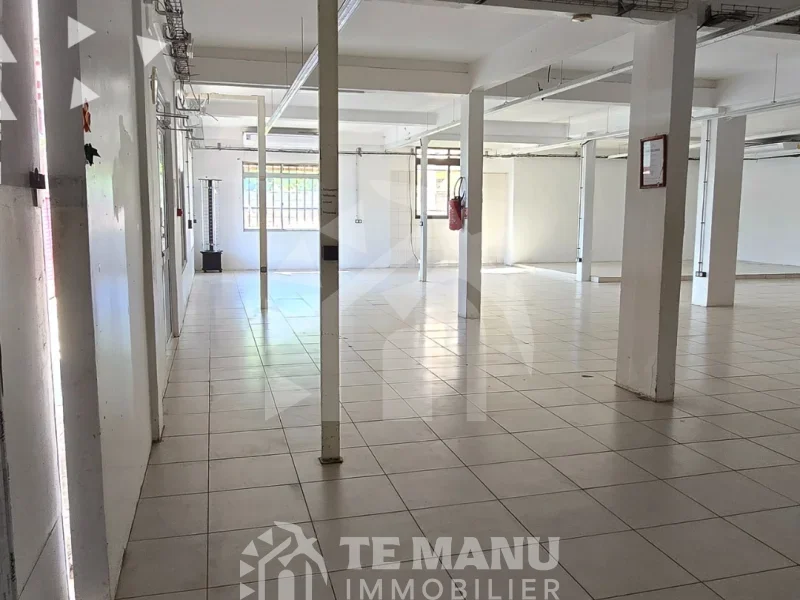 A vendre – IMMEUBLE POLYVALENT À PUEU - temanuimmobilier.com
