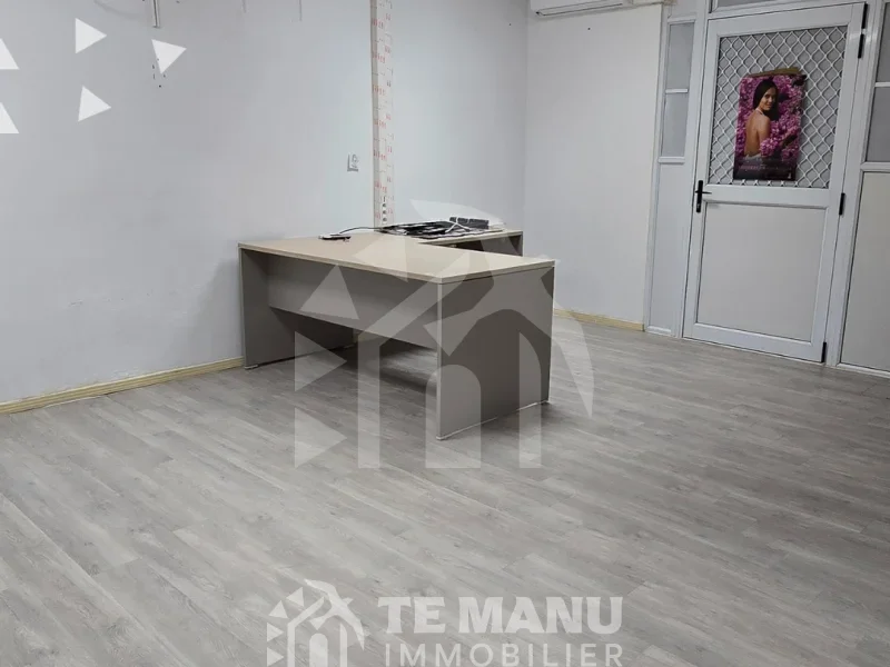 A vendre – IMMEUBLE POLYVALENT À PUEU - temanuimmobilier.com
