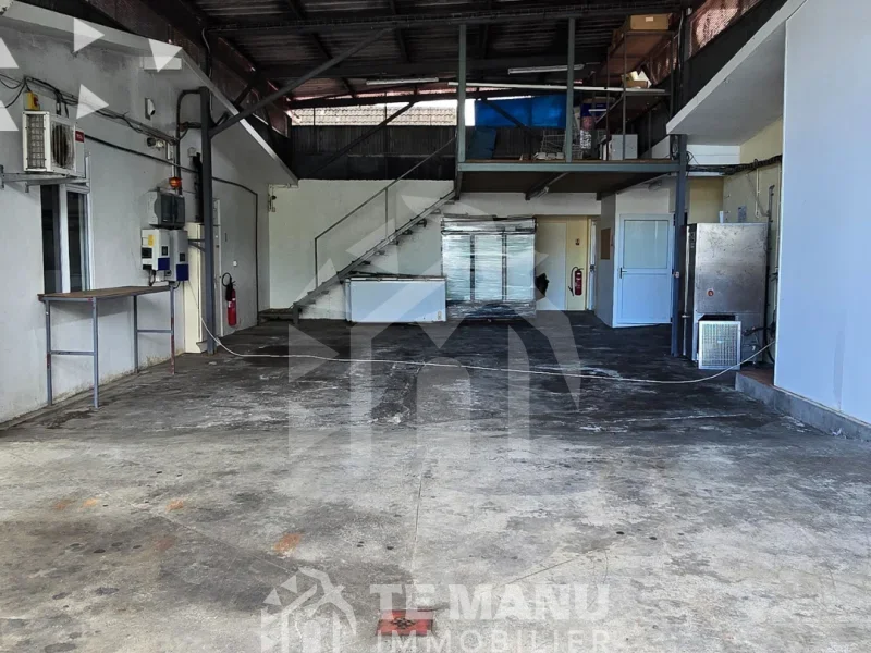 A vendre – IMMEUBLE POLYVALENT À PUEU - temanuimmobilier.com