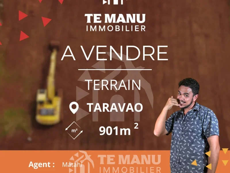 A vendre – Terrain de 901m2 sur Taravao - temanuimmobilier.com