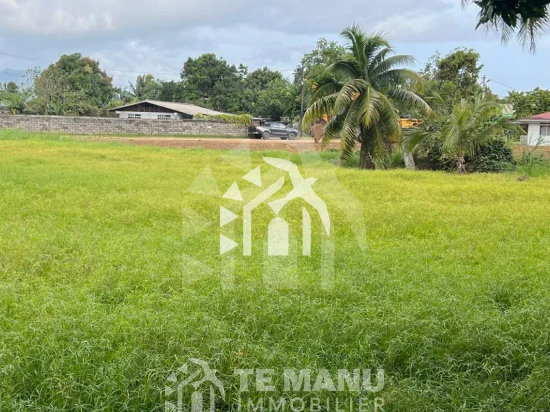 Papeari, Terrain Viabilisé de 4000m² - temanuimmobilier.com