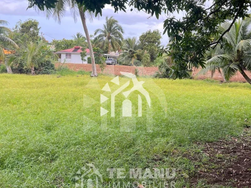 Papeari, Terrain Viabilisé de 4000m² - temanuimmobilier.com