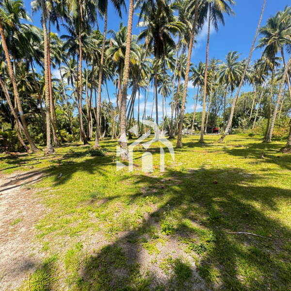 Découvrez un Magnifique Terrain de 2 500 m² à Haapiti, Moorea