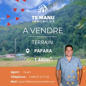 Terrain papara tauarii