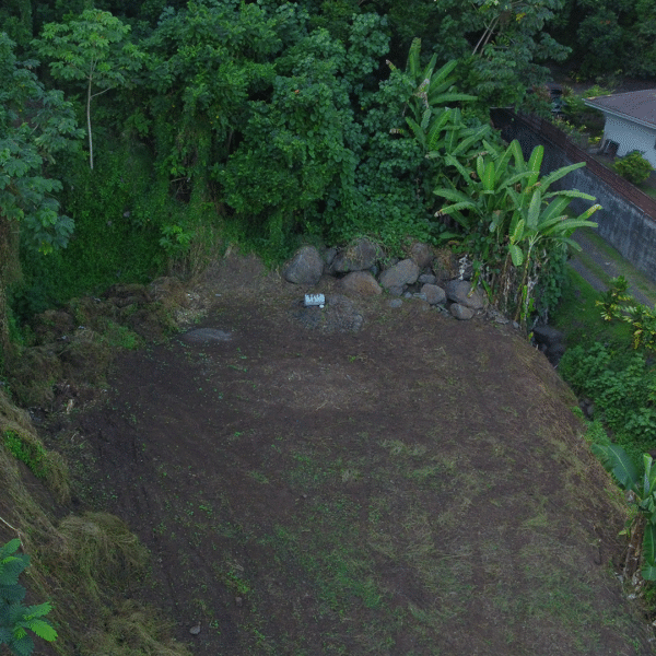 Terrain Arue cover