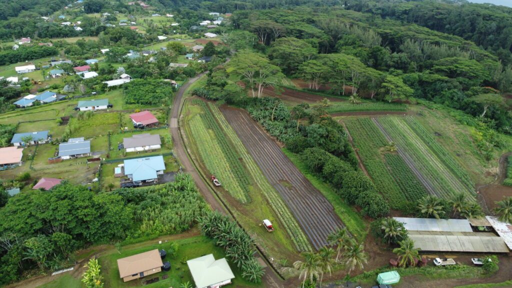 Afaahiti Dorsale 2