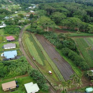 Afaahiti Dorsale 2