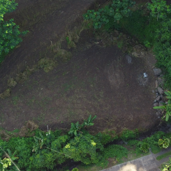 Terrain Arue 2