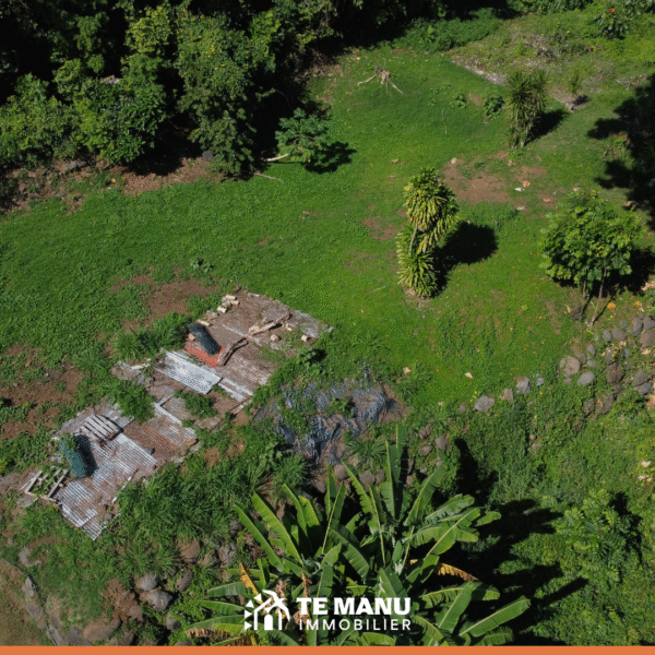 Terrain Rudy 2
