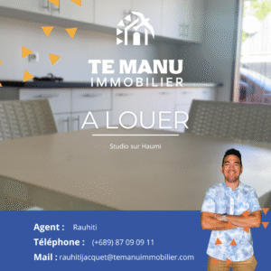 Location – trait bleu log blanc Cover haumi