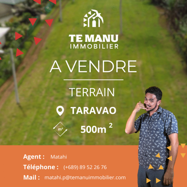 Vente – trait orange log blanc Taravao 500m2