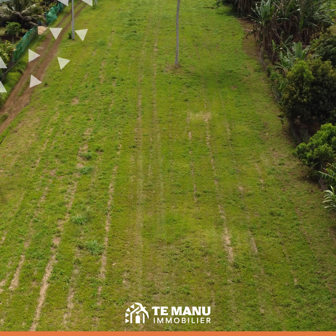 Taravao 500m2 P2