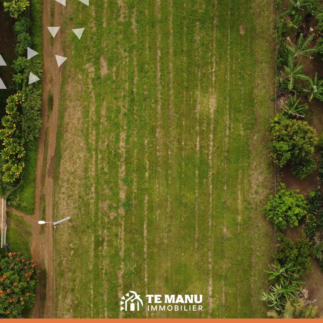 Taravao 500m2 P3