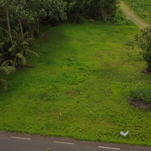 A Vendre - Terrain sur Hitiaa