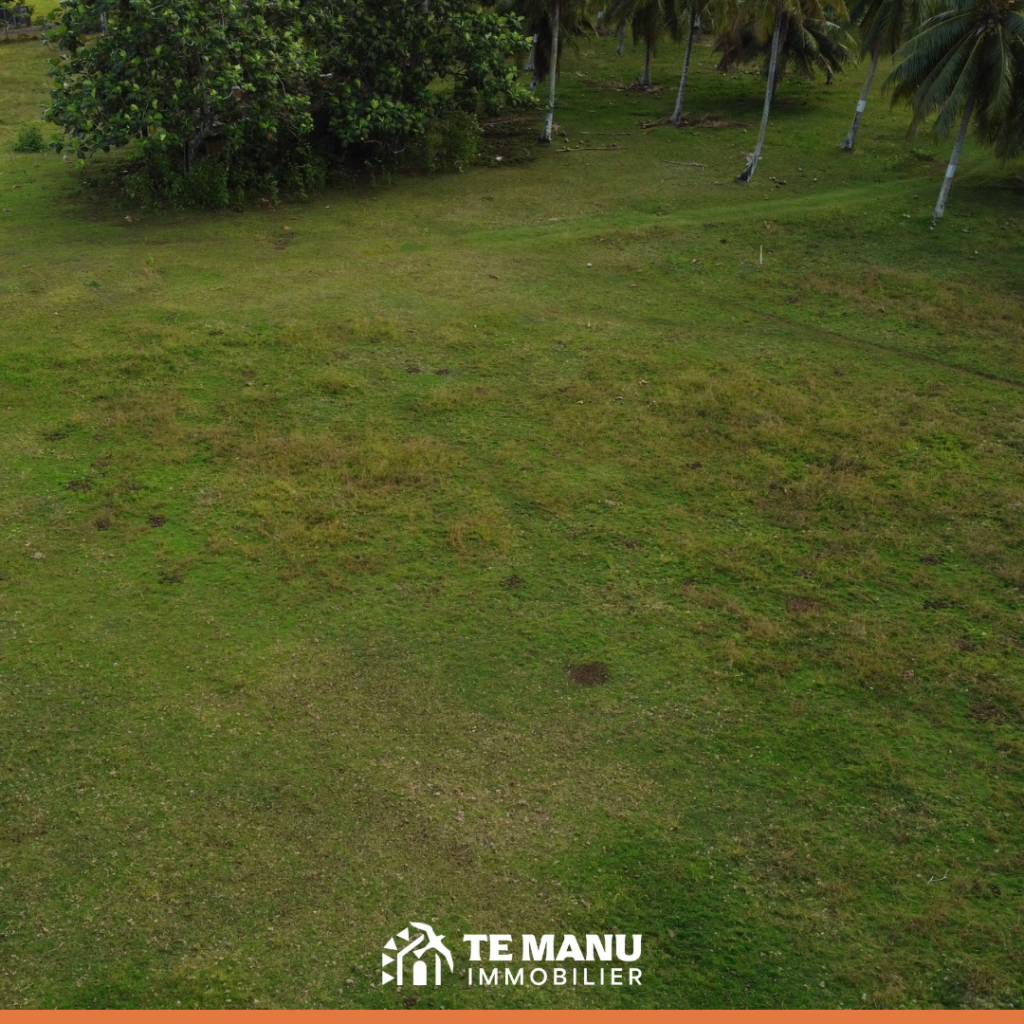 A vendre - Terrain de 800m2 sur Toahotu